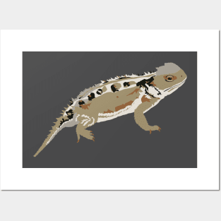 Greater Short-horned Lizard Posters and Art